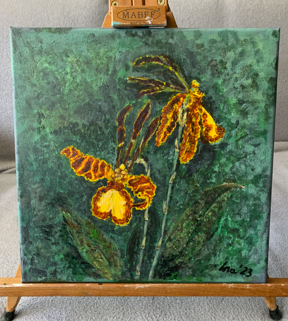 Painting of Psychopsis papilio by Alina Furtak